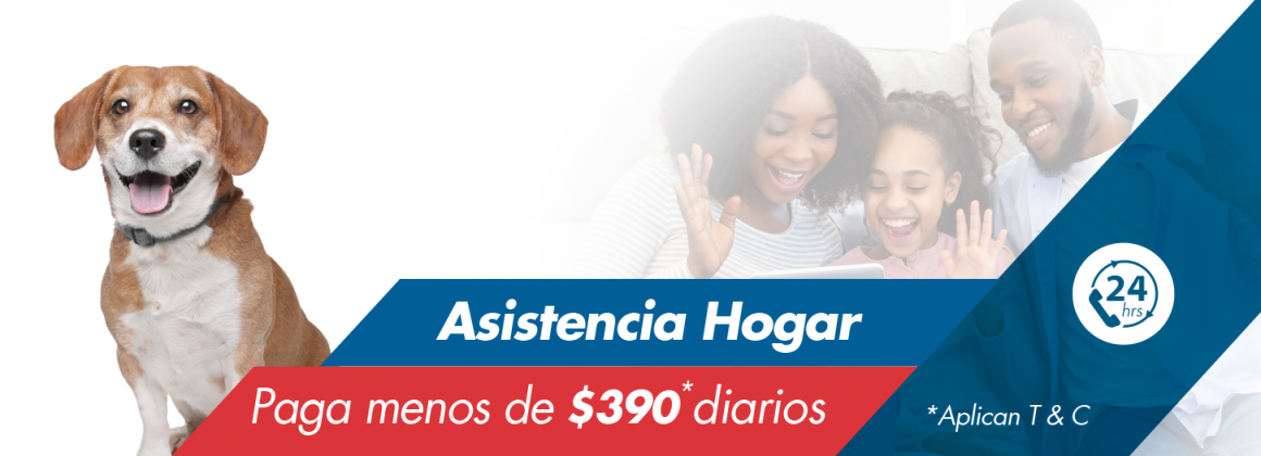 Asistencia Mascotas